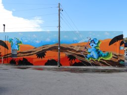 Focus Murals